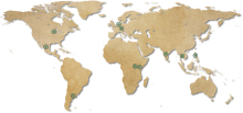 World map with dots marking the country of origin of the member organisations of GOSSI